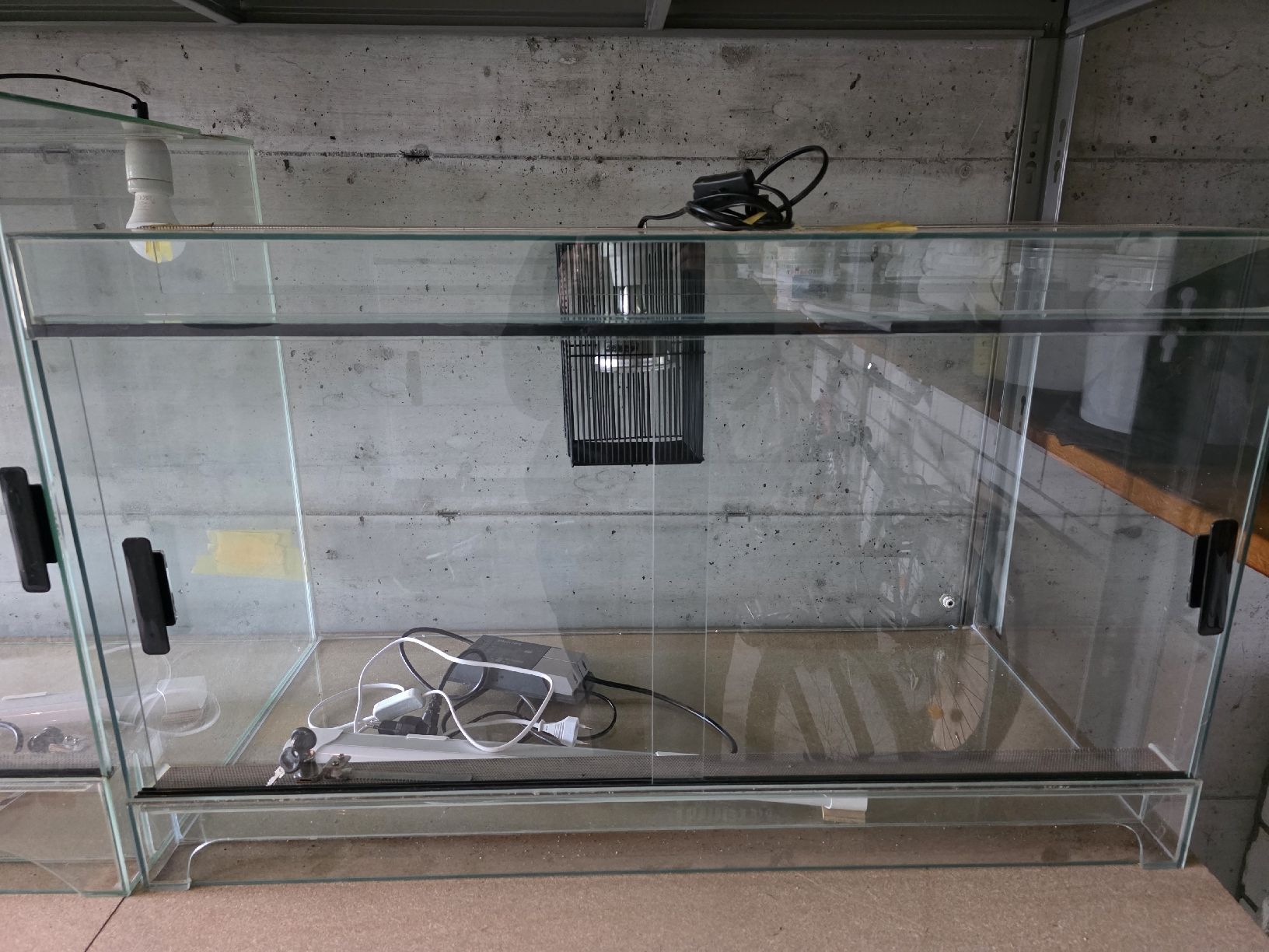 Terrario: Glasterrarium 100x50x60 – Usato da St. Margrethen SG venduto da mel.95