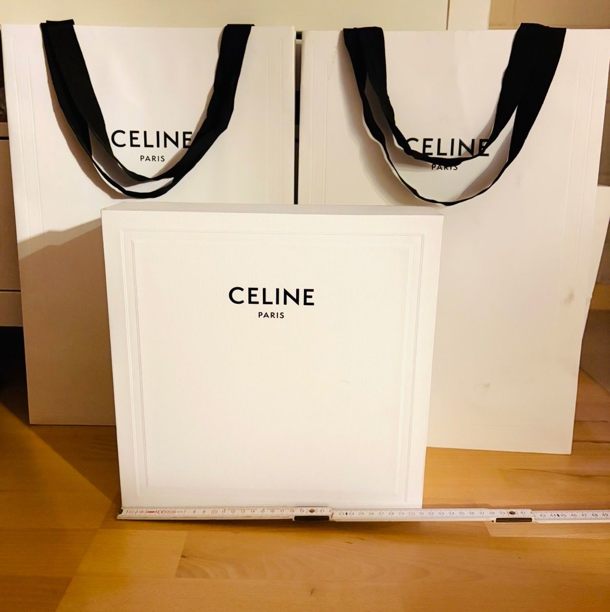 Celine Borse: 1 Celine Box und 2 Taschen Papier – Nuovo (secondo la descrizione) da Etoy venduto da Diadefin 2