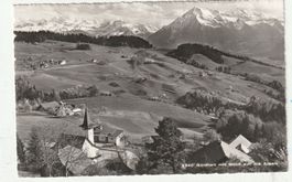 Goldiwil