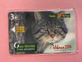Telefonkarte Spanien Wildkatze in originaler Verpackung
