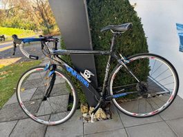 Rennrad