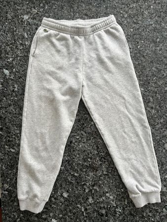 Lacoste Jogginghose/Trainerhose - grau