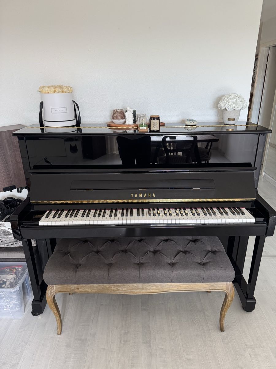 Yamaha Strumenti musicali: Yamaha Silent Piano – Usato da Winterthur venduto da Anilarab 1