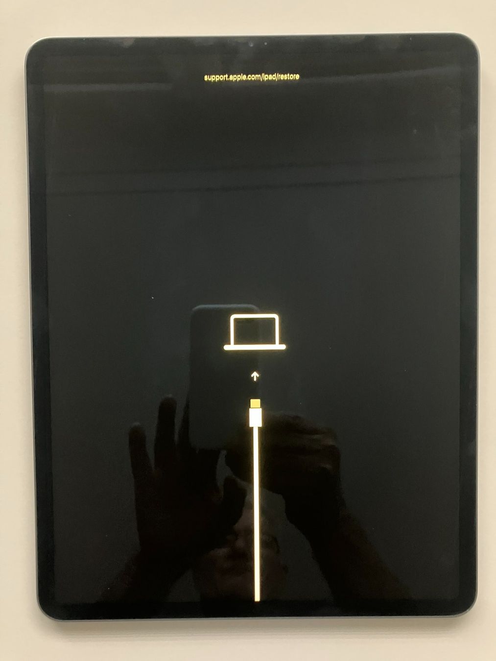 Apple Tablet PC: iPad Pro 12.9" 3.Generation / Model A1876 / DEFEKT – Difettoso da Meisterschwanden venduto da Discus0