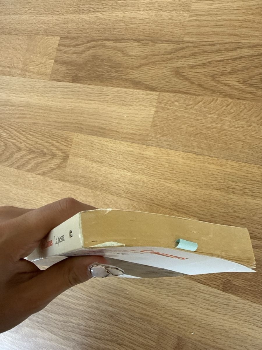Libri: La Peste von Albert Camus Folio – Usato da Gränichen venduto da cat_lady 2