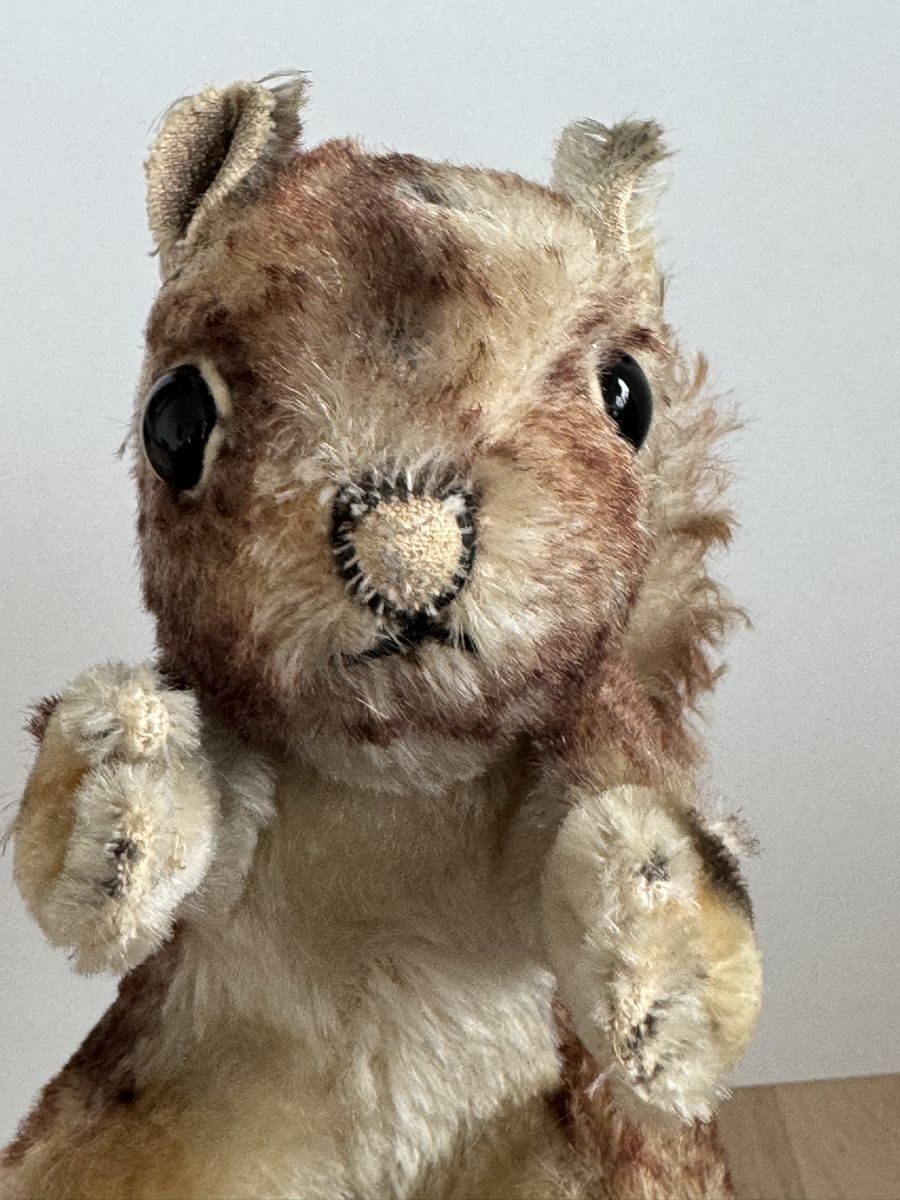 Giocattoli: Antikes Eichhörnchen Stofftier verm. Steiff Perry 20 cm – Usato da Baar venduto da Rattantante 4