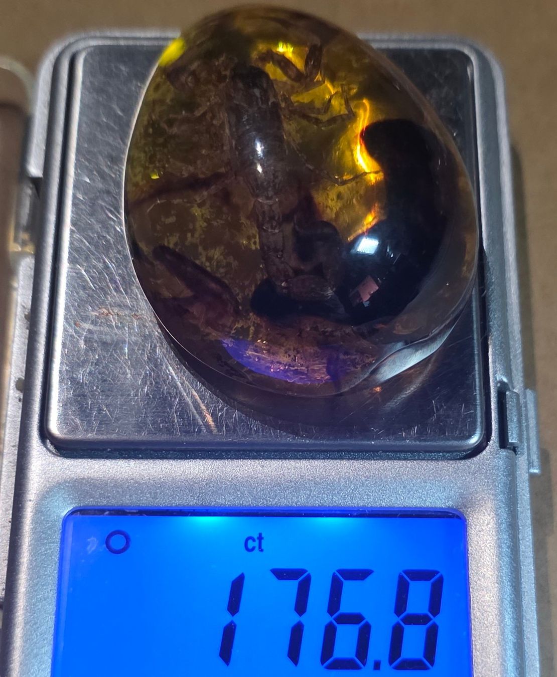 Minerali & Pietre curative: 176.8 ct Vrai Scorpion – Usato da Carouge GE venduto da Crystal_Energy 3