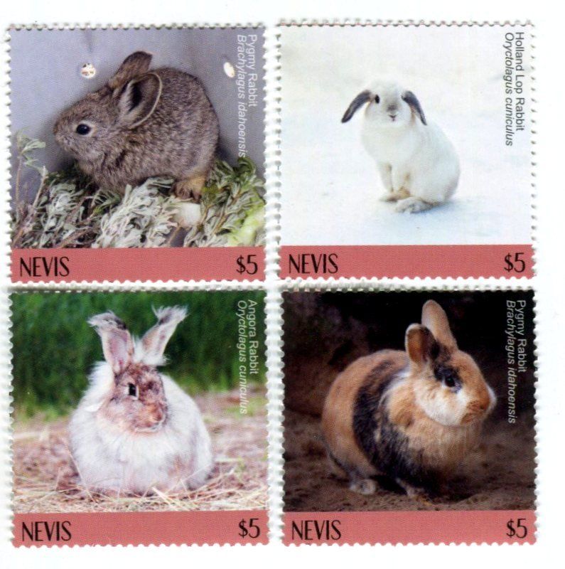 Tutti i francobolli: Briefmarken "Kaninchen". Nevis – Nuovo e nell'imballaggio originale da Basel venduto da Butsch5