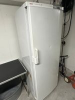 Gefrierschrank Bosch Economic Super weiss gebraucht