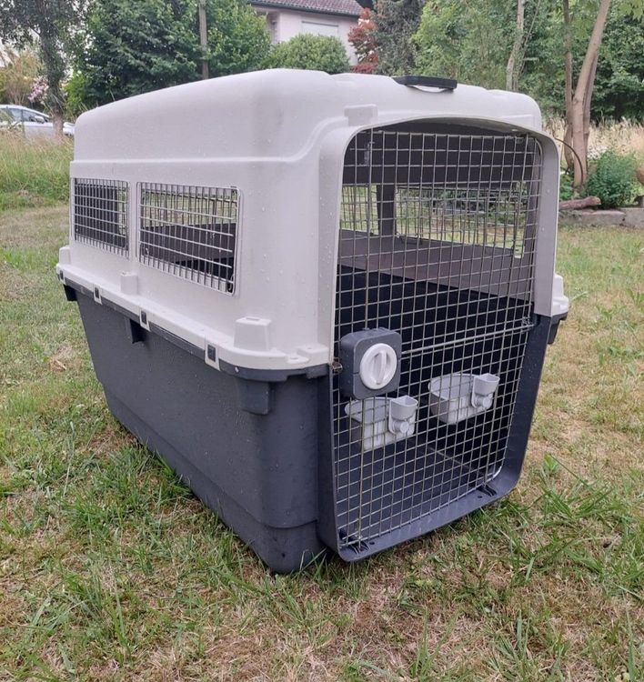 XXL Hundebox / Transportbox IATA Norm 88/82/120cm Kaufen auf Ricardo