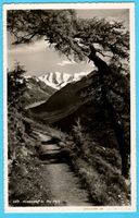 Piz Palü mit Höhenweg 1947. Lebensmittelmarken im Text.