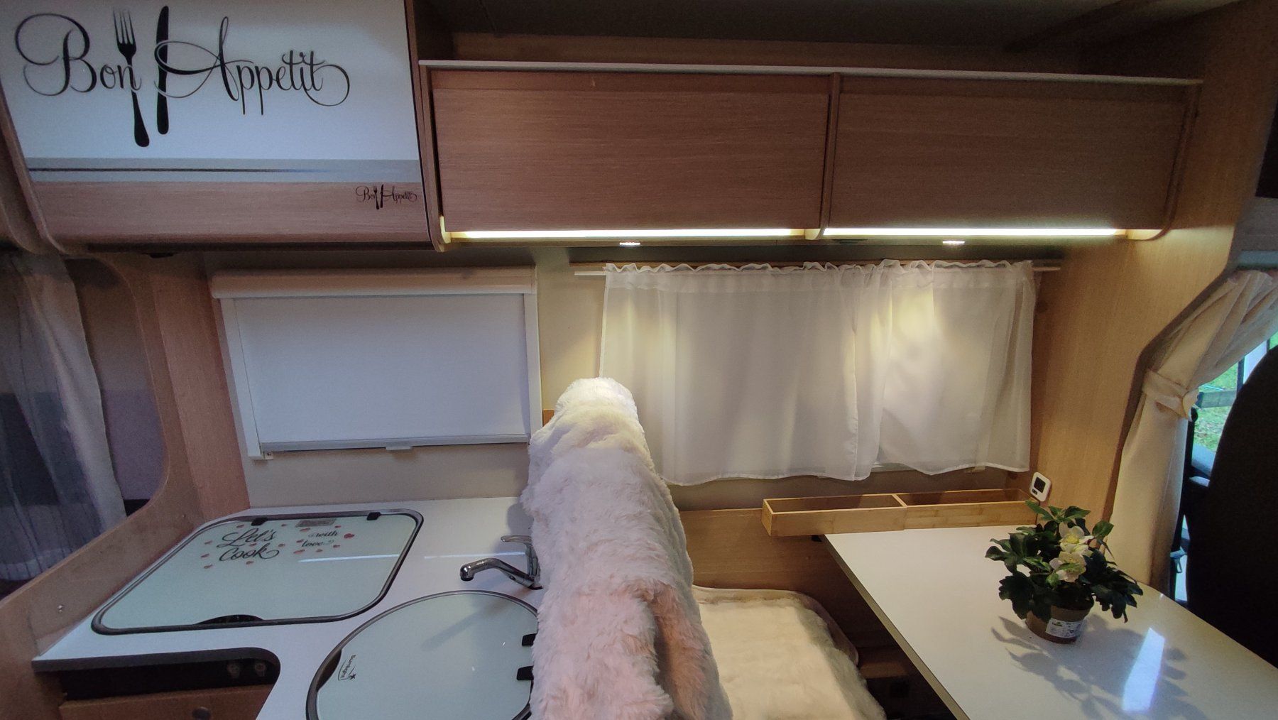 Fiat Veicoli da campeggio: Fiat Capron Camper – Usato da Reinach AG venduto da GarageDenis 5