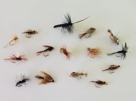 15 Stück verschidene Fliege für Fischen