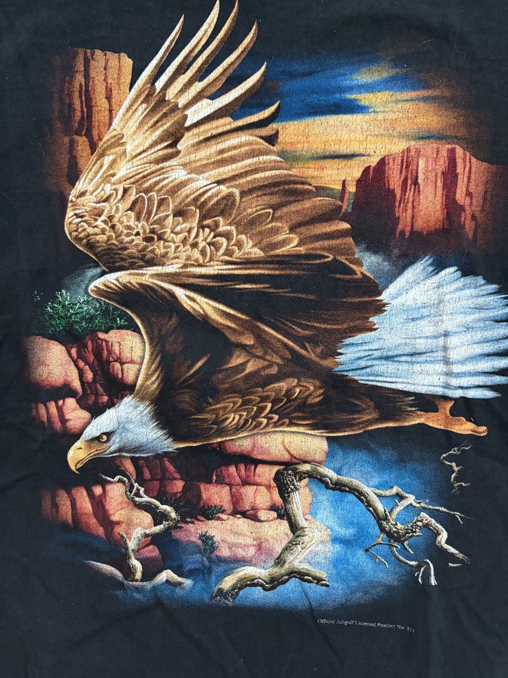 T-shirts: American Eagle T-Shirt – D'occasion à Ebnat-Kappel par pourlemerite 1