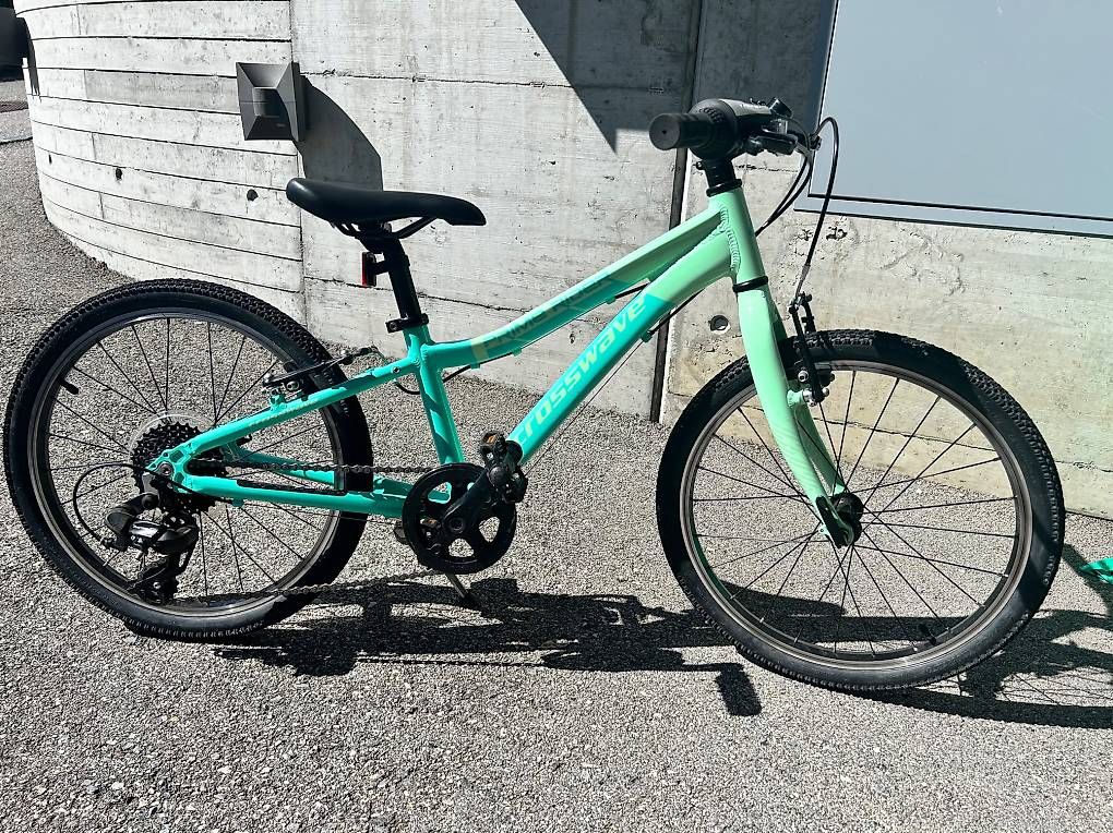Biciclette: Bicicletta bambini 20" – Usato da Bellinzona venduto da rob_np7d