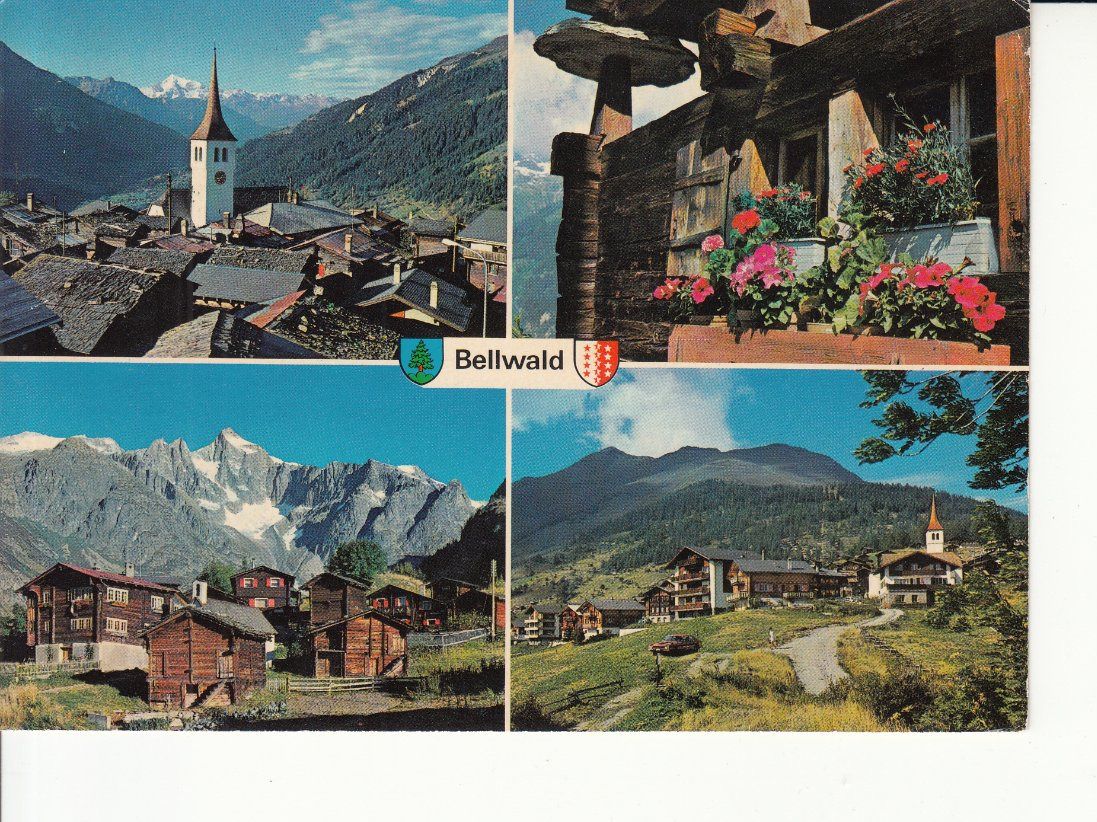 Cartoline postali: Bellwald 1983 – Usato da Bürglen TG venduto da StampGraf