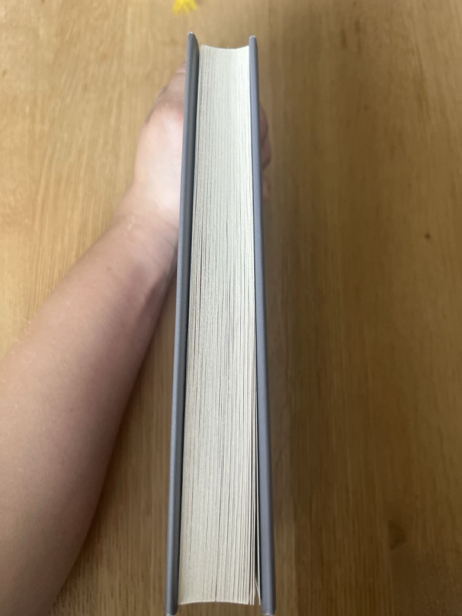 Bücher: Monstergott von Caroline Schmitt – Gebraucht aus Neuenhof von luz_h7hq 2