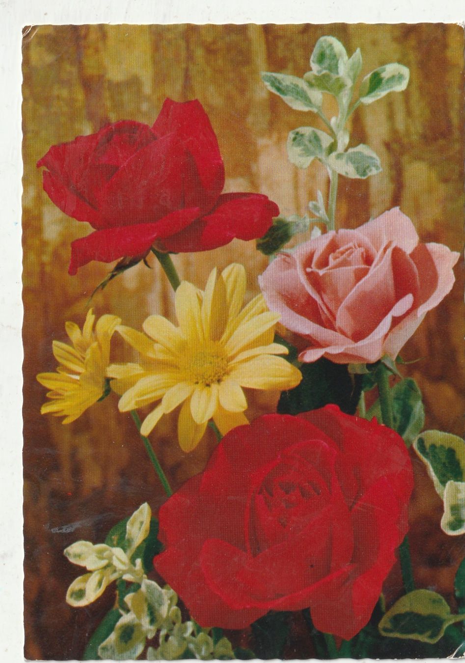 Cartes postales: Bilumenkarte – D'occasion à Lumbrein par made02