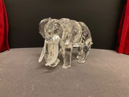 Swarovski - Elefant signiert 1993 (inkl. Display)