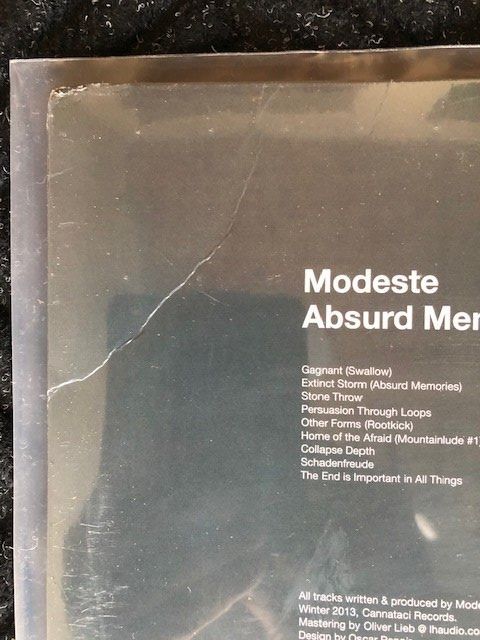 Dischi in vinile: Modeste – Nuovo (secondo la descrizione) da Aarwangen venduto da Jukebox3 4