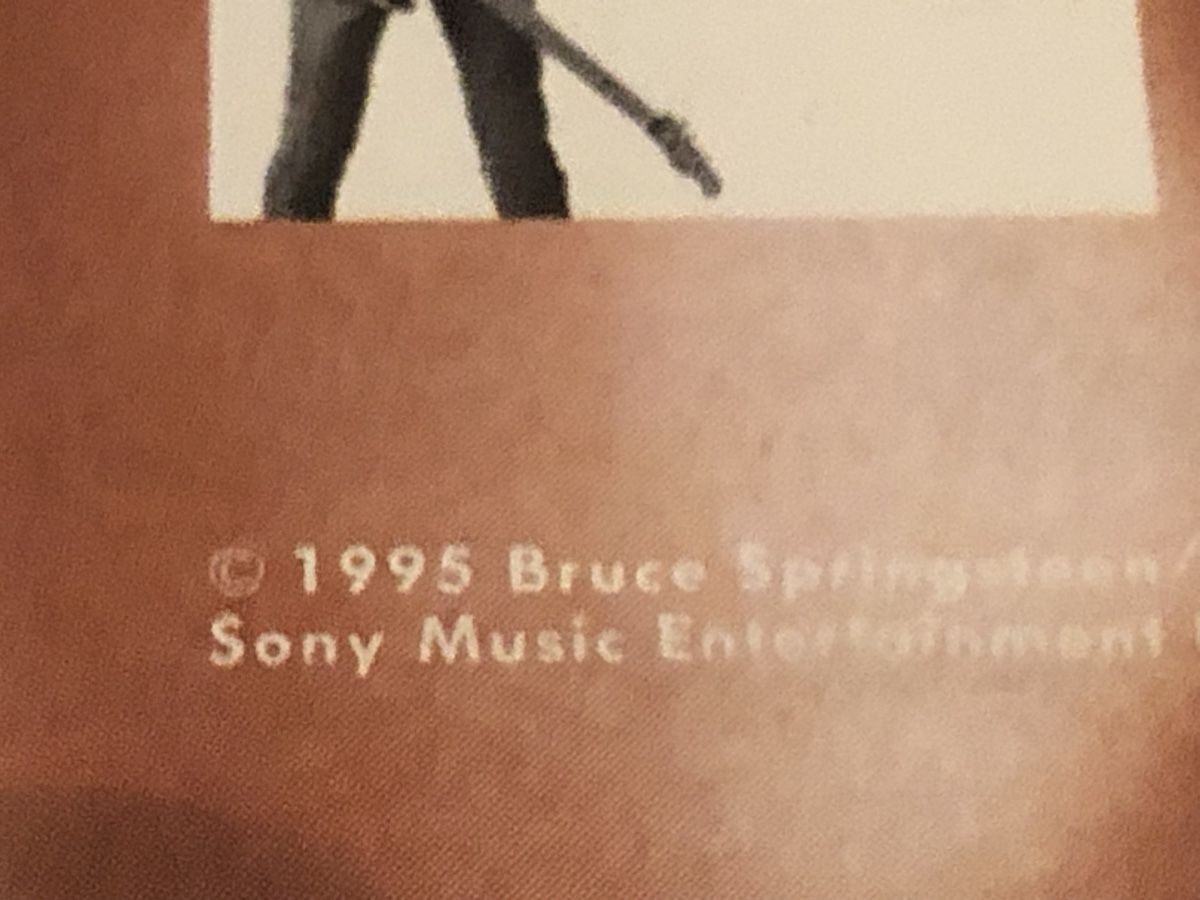 Dischi in vinile: Bruce Springsteen. 1995. Secret Garden – Usato da Faulensee venduto da Mizuno06 5