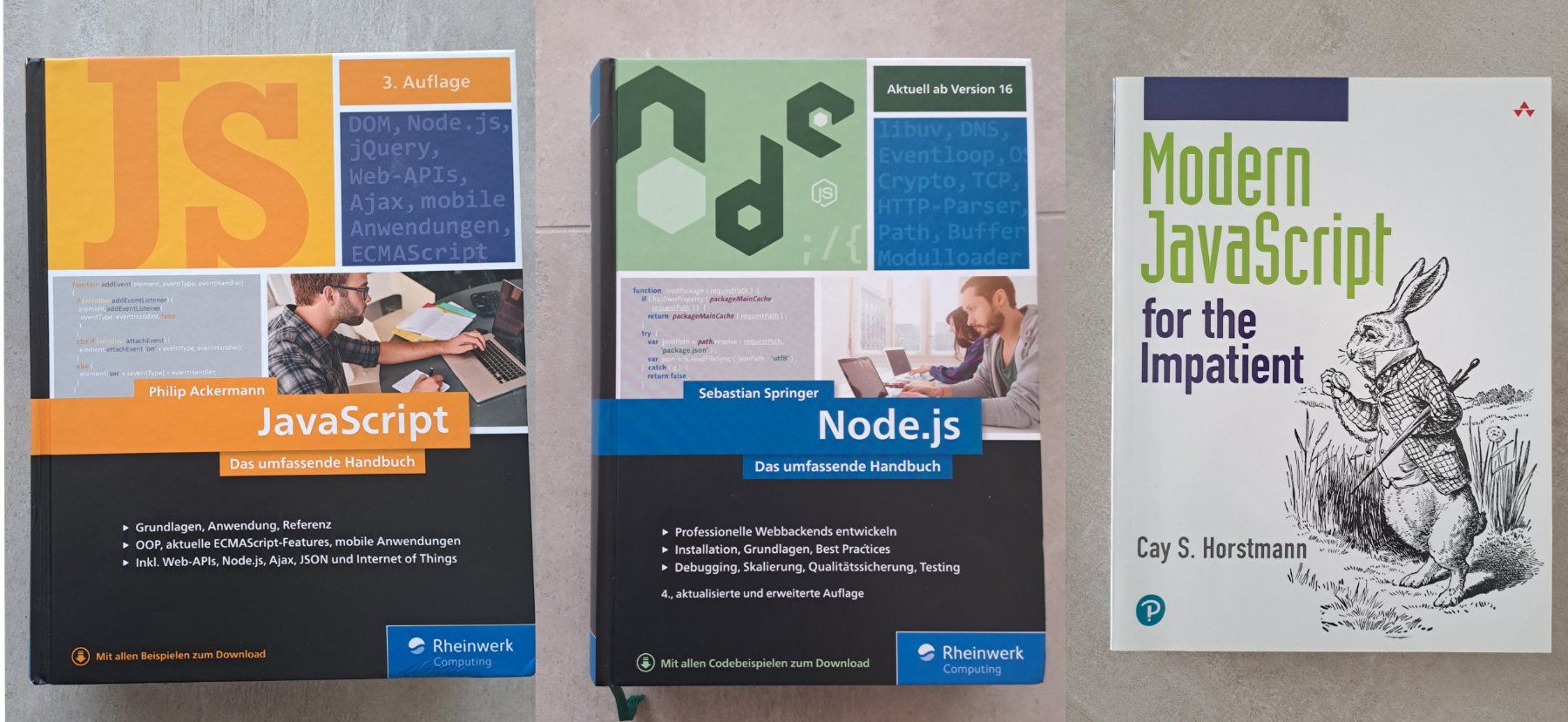 Libri: JavaScript und Node - 3 Bücher – Usato da Caslano venduto da Welaberg