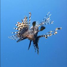 Profile image of winric
