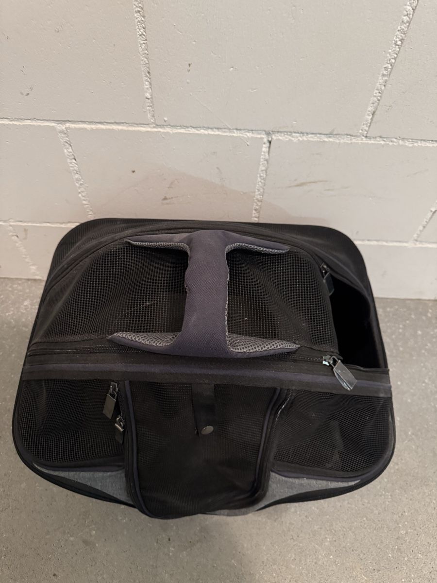 Gabbie, trasporto & Sicurezza: Transportbox – Usato da Villmergen venduto da van_xv9t 2