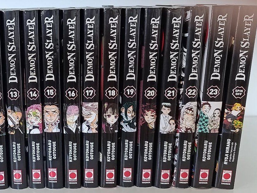 Comics: Demon Slayer intégrale – Gebraucht aus Lausanne von ale_2s25 2