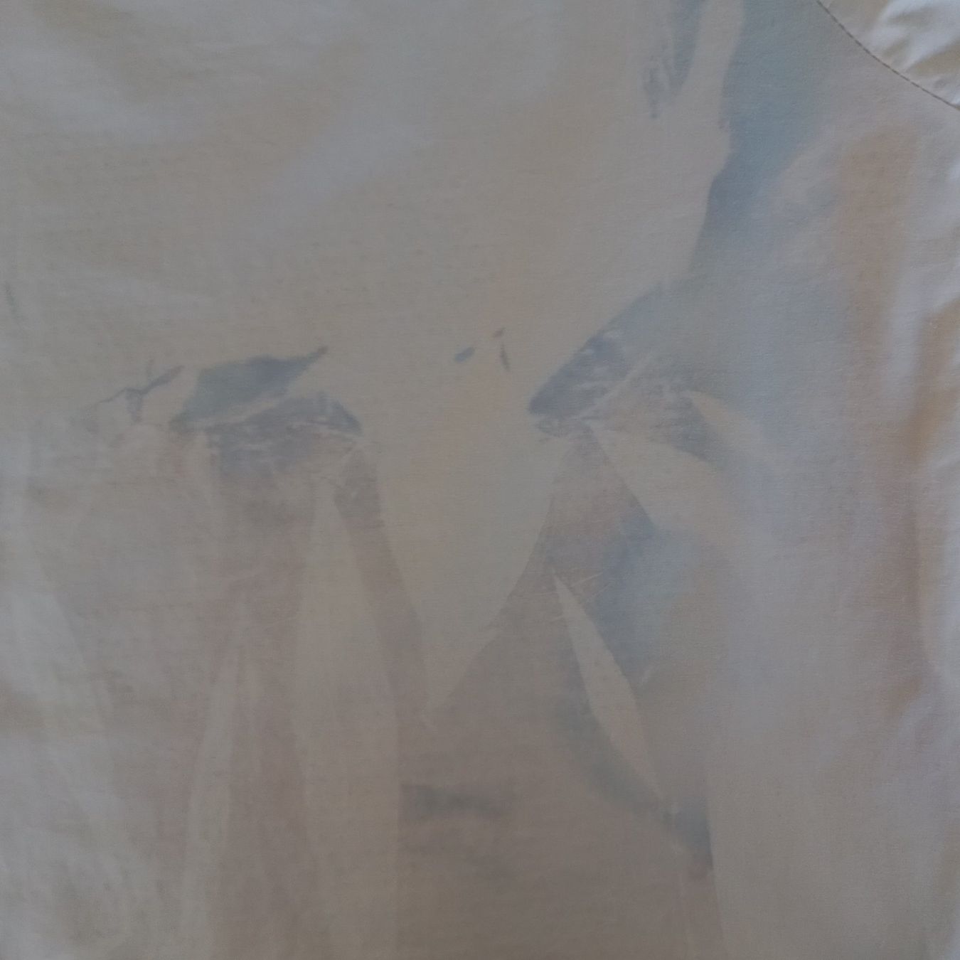 Nike Giacche: Vintage Nike Trackjacket (L) – Usato da Chamoson venduto da Sapoloshop 2