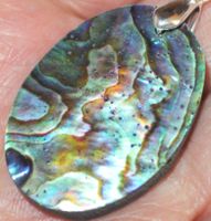 Anhänger L-5660 – Abalone Muschel 33x24mm