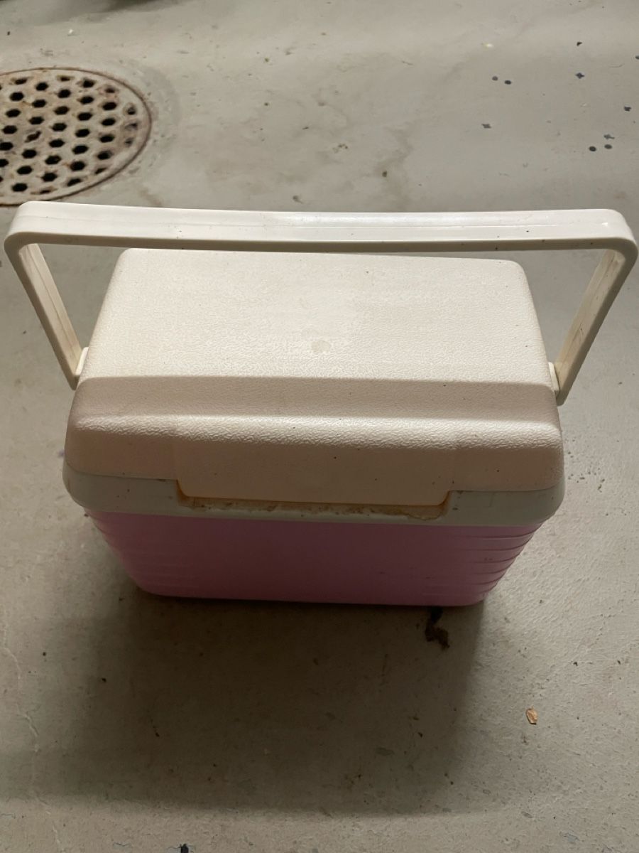 Frigoriferi & Refrigeratori: Kühlbox klein – Usato da Neuenkirch venduto da balani 1