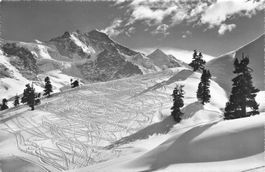 Grindelwald (BE) Tschuggenabfahrt Jungfrau Alpenpanorama