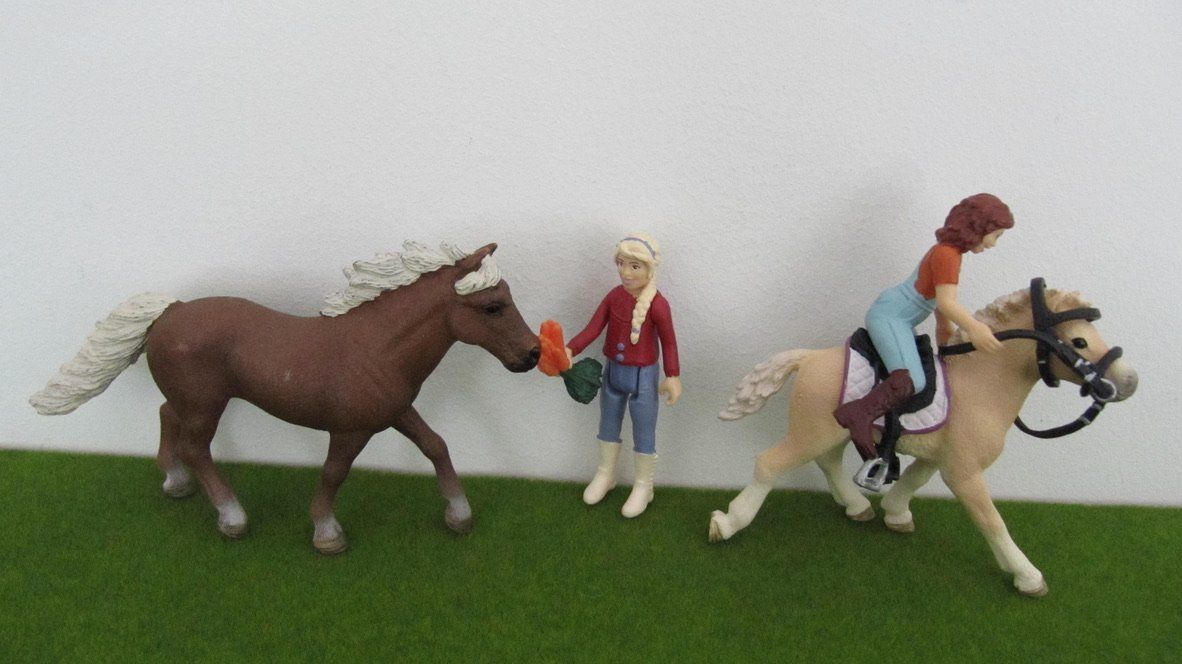 Schleich Giocattoli: Schleich Pferdekoppel mit Eingangstor + Zubehör – Usato da Brunnen venduto da Kiwiland1 4
