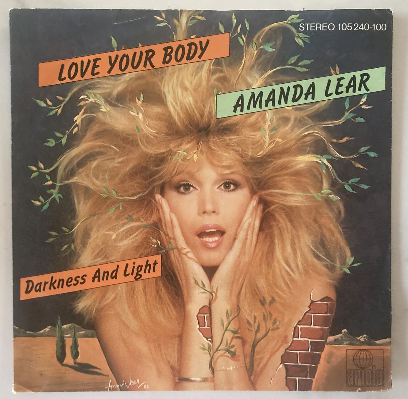 Dischi in vinile: AMANDA LEAR - LOVE YOUR BODY – Usato da Bottens venduto da hotter-than-hell