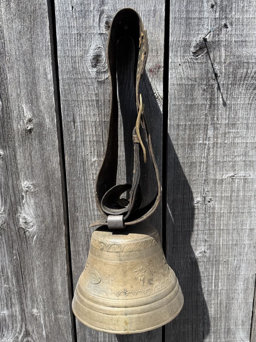 Campanacci mucche: Schöne Glocke, Peter Berger Bärau – Usato da Sargans venduto da foxtrading 4