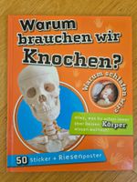 Sachbuch: Warum brauchen wir Knochen?