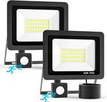 2x 30W LED Strahler mit Bewegungsmelder IP65 Außen