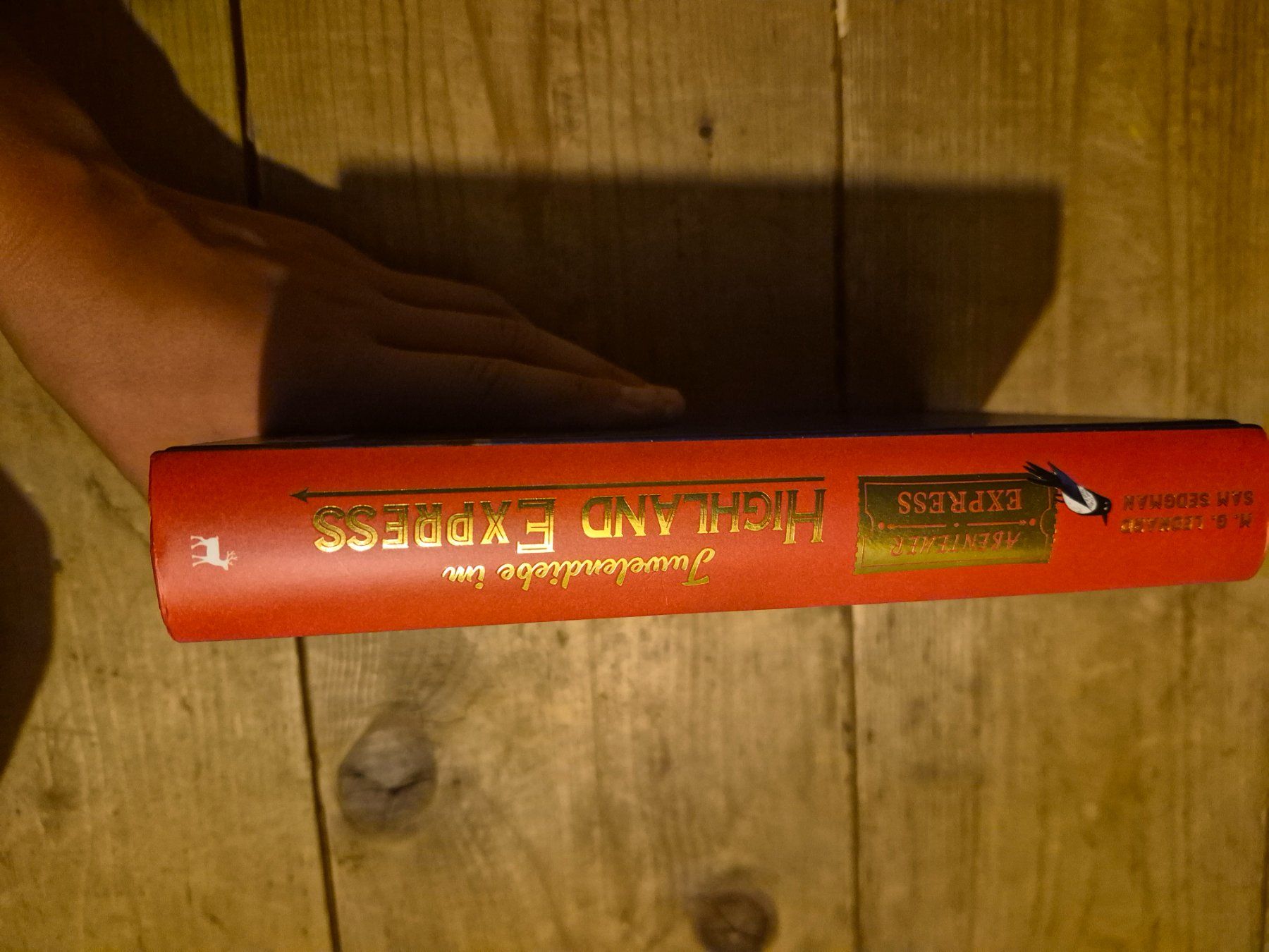 Libri: Buch Highland Express – Nuovo (secondo la descrizione) da Wienacht-Tobel venduto da Reg2 2