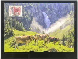 Schweiz 2026 Stubete Fineart Maximumkarte 308g Ausgabetag