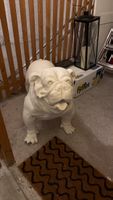 Statua cane bulldog bianco materiale sintetico