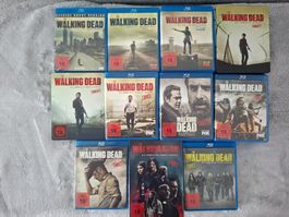 THE WALKING DEAD STAFFEL 1 - 11  BRs