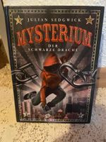 Buch Mysterium Der schwarze Drache Julian Sedgwick