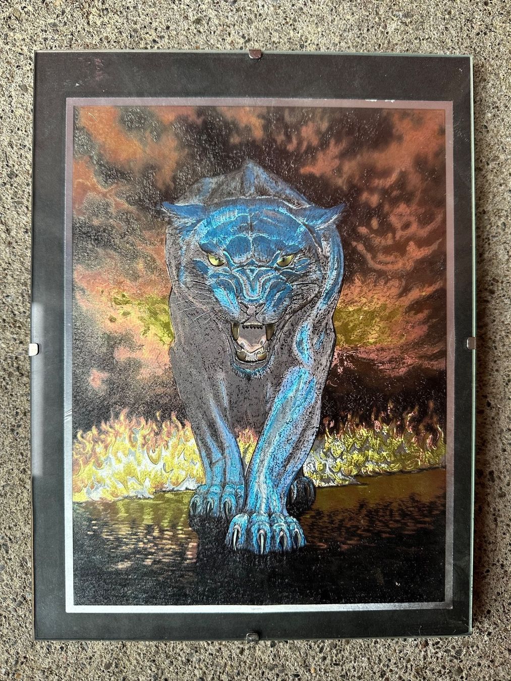 Foto & Immagini: Panther bild spiegel reflektierend – Usato da Reinach AG venduto da rares75
