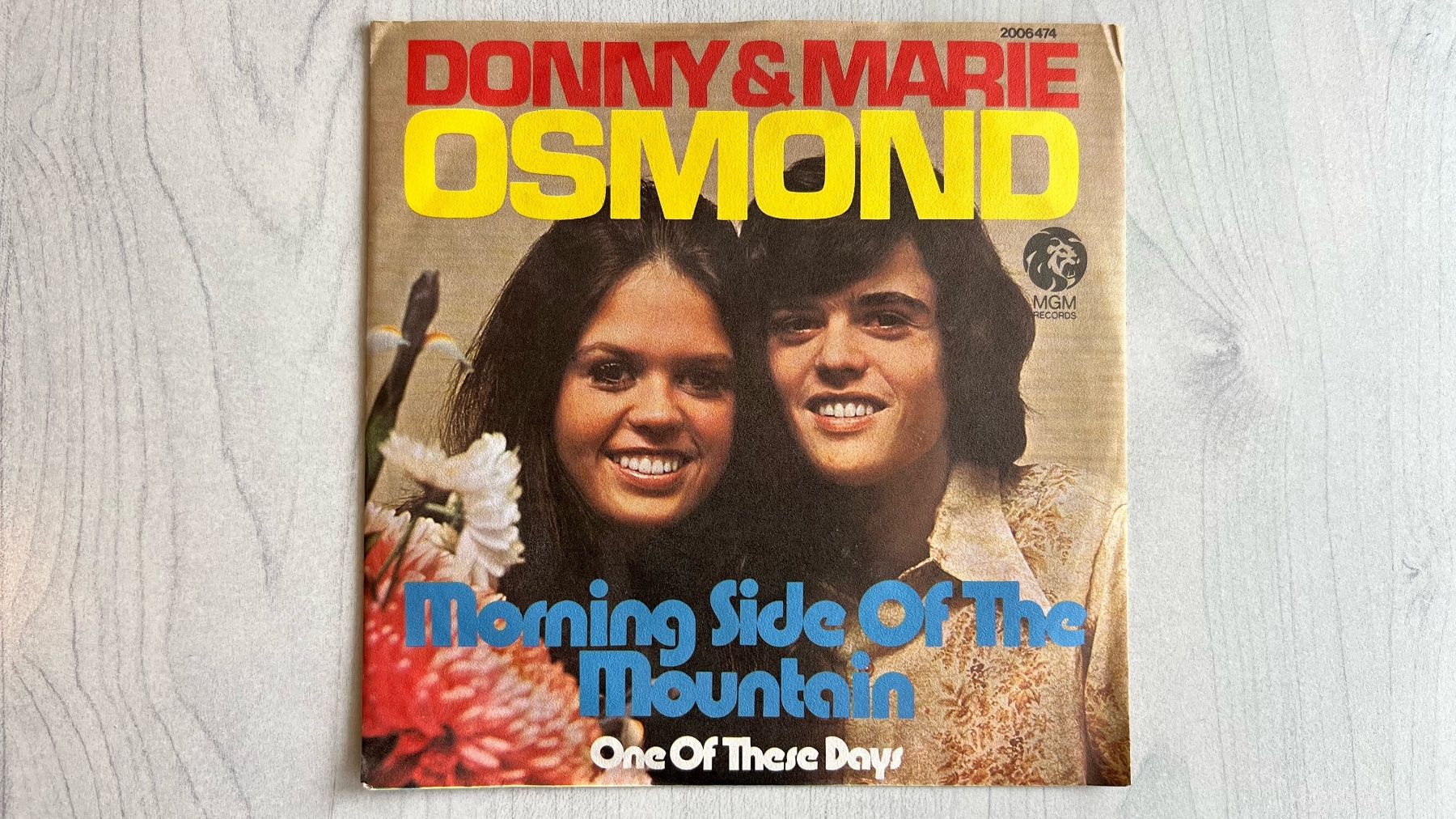 Dischi in vinile: Donny & Marie Osmond – Usato da Arbon venduto da Cork 2