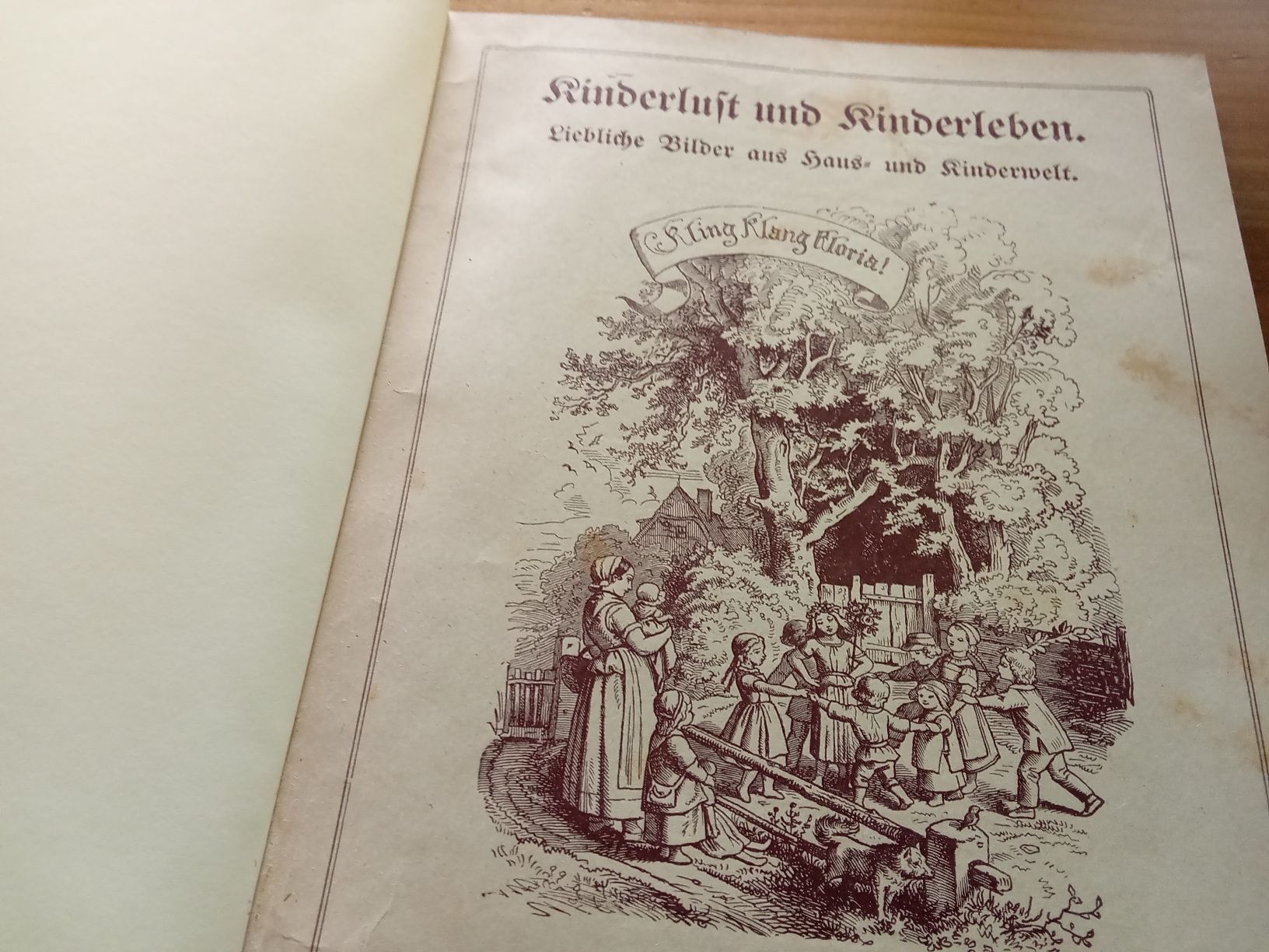 Libri: KINDER LUST UND KINDERLEBEN – Usato da Muri BE venduto da Alk 1