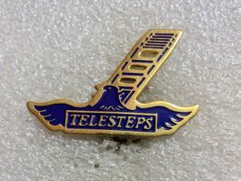 Ansteckpin 230: Telesteps