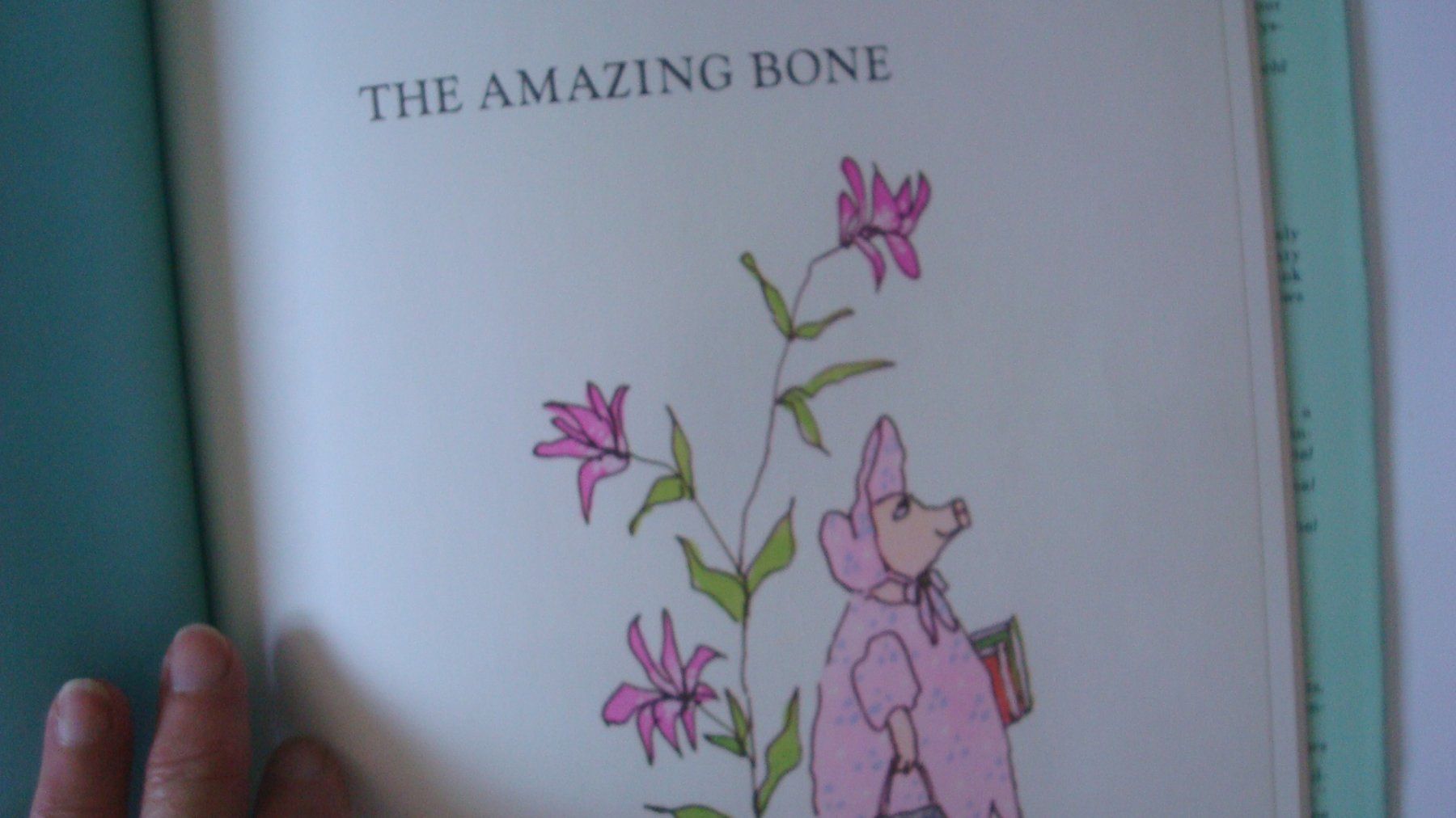 Libri: The Amazing Bone William Steig – Usato da Münchenstein venduto da Pesci6 1