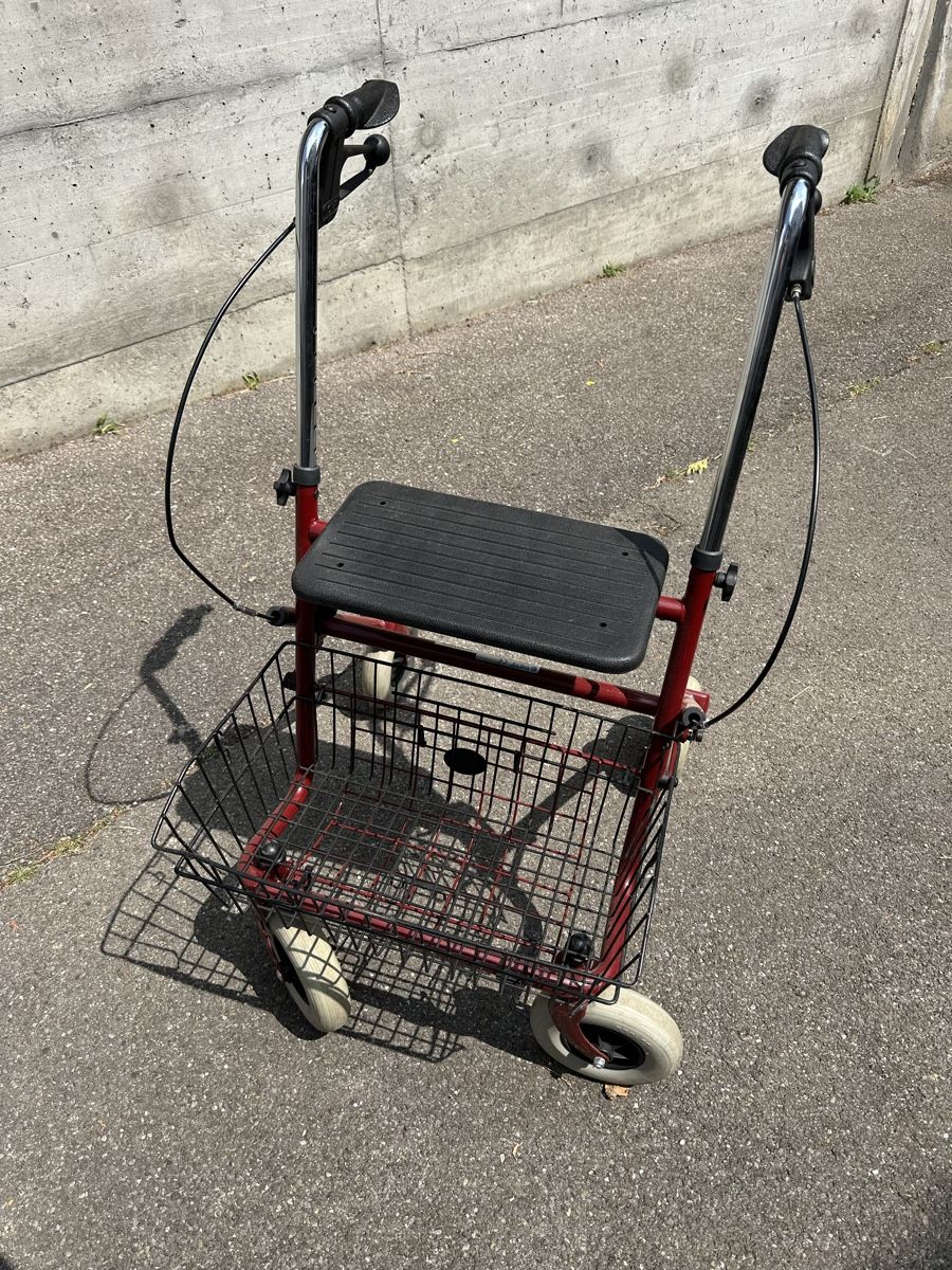 Ausili per la deambulazione: rollator – Usato da Uttigen venduto da edu_jn6l 2