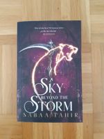 A sky beyond the storm (tome 4)